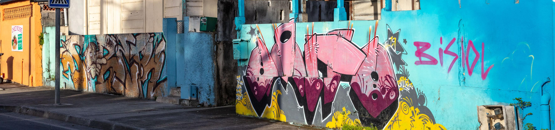 Tour Pointe-à-Pitre en Bip Bip Street art